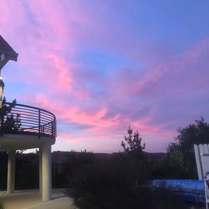 Meet your Posher, Elsie